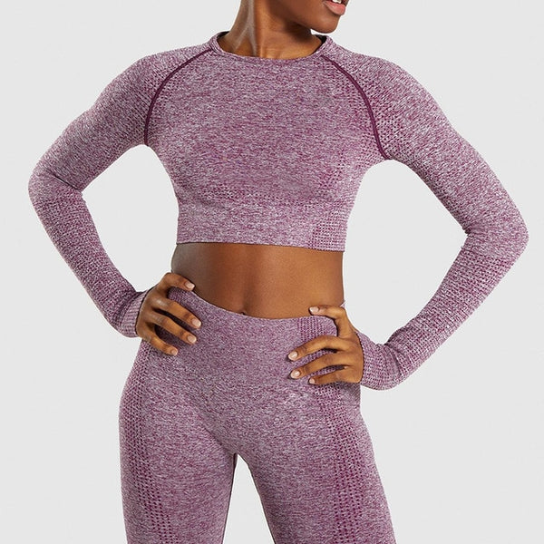 Women Seamless Long Sleeve Active Wear Tracksuit Yoga Set